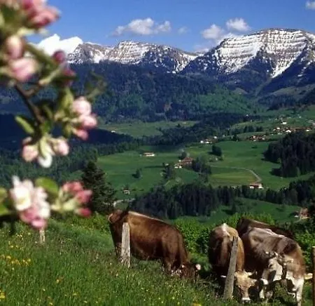Zur Nagelfluh, Oberstaufen-steibis